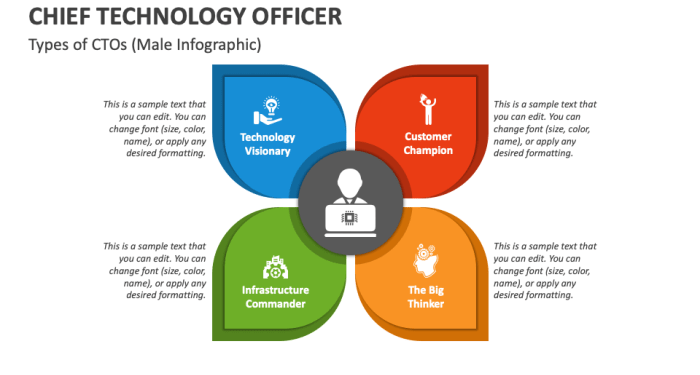 Chief Technology Officer PowerPoint Presentation Slides - PPT Template